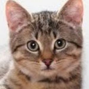 Meet your Posher, Maegan